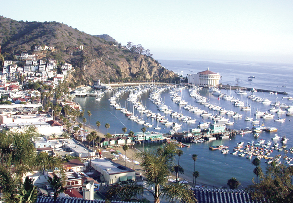 Avalon Bay From Above