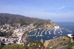 Horizontal Photo of Avalon Bay