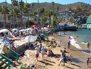 Crowdeed Beach in Avalon