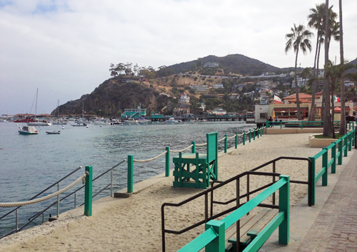 Photo of a Beach on Avalon Harbor