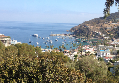 Photo #1 of Avalon Harbor from a Golf Cart