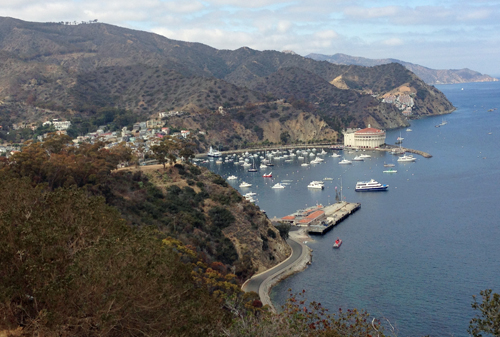 Photo #2 of Avalon Harbor fromf a Golf Cart