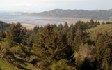 Humboldt Bay Viewed From Table Bluff County Park